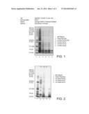 USE OF A HYPOALLERGENIC CEREAL COMPOSITION FOR INDUCING SPECIFIC ORAL     TOLERANCE diagram and image