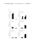 CANCER VACCINE COMPOSITION diagram and image