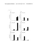 CANCER VACCINE COMPOSITION diagram and image