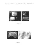 ENCAPSULATED OILS diagram and image