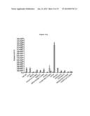 NANOCAPSULES WITH A POLYMER SHELL diagram and image