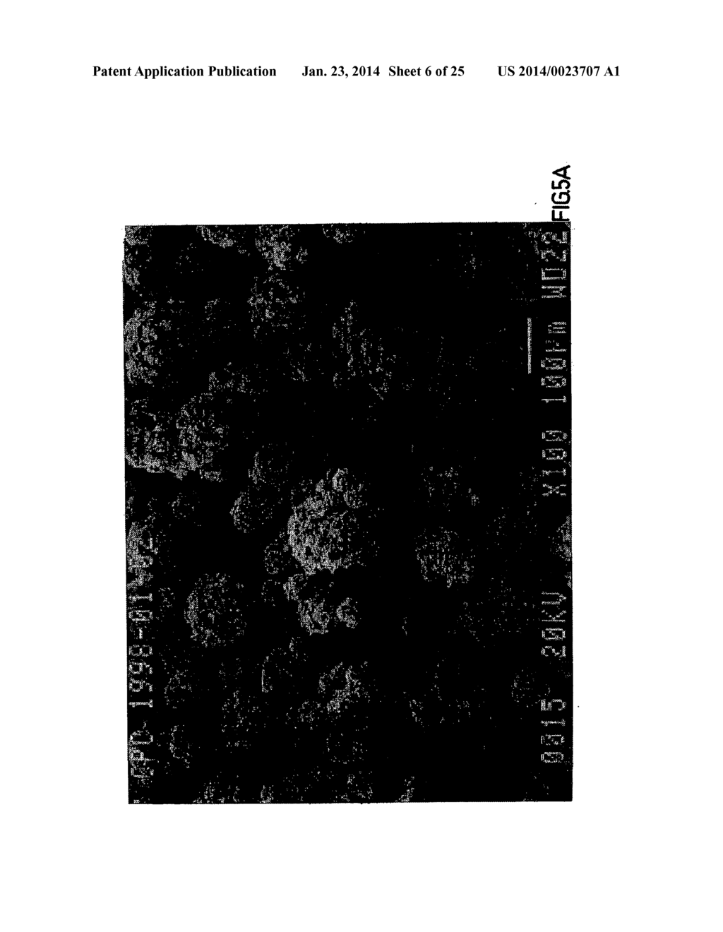 Co-Processed Carbohydrate System as a Quick-Dissolve Matrix for Solid     Dosage Forms - diagram, schematic, and image 07