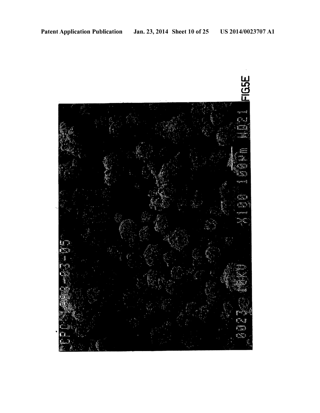 Co-Processed Carbohydrate System as a Quick-Dissolve Matrix for Solid     Dosage Forms - diagram, schematic, and image 11