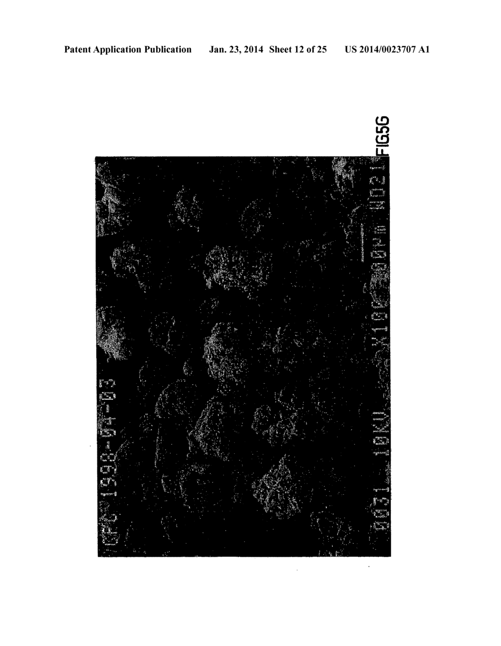 Co-Processed Carbohydrate System as a Quick-Dissolve Matrix for Solid     Dosage Forms - diagram, schematic, and image 13