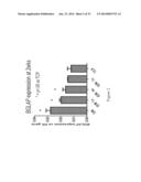 Decellularized Extracellular Matrix diagram and image