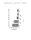 Decellularized Extracellular Matrix diagram and image