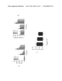 Decellularized Extracellular Matrix diagram and image