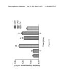 Decellularized Extracellular Matrix diagram and image