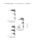 Decellularized Extracellular Matrix diagram and image