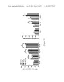 Decellularized Extracellular Matrix diagram and image