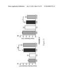 Decellularized Extracellular Matrix diagram and image