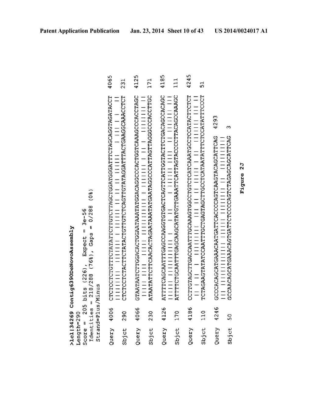 IDENTIFICATION OF A NOVEL HUMAN POLYOMAVIRUS (IPPyV) AND APPLICATIONS - diagram, schematic, and image 11