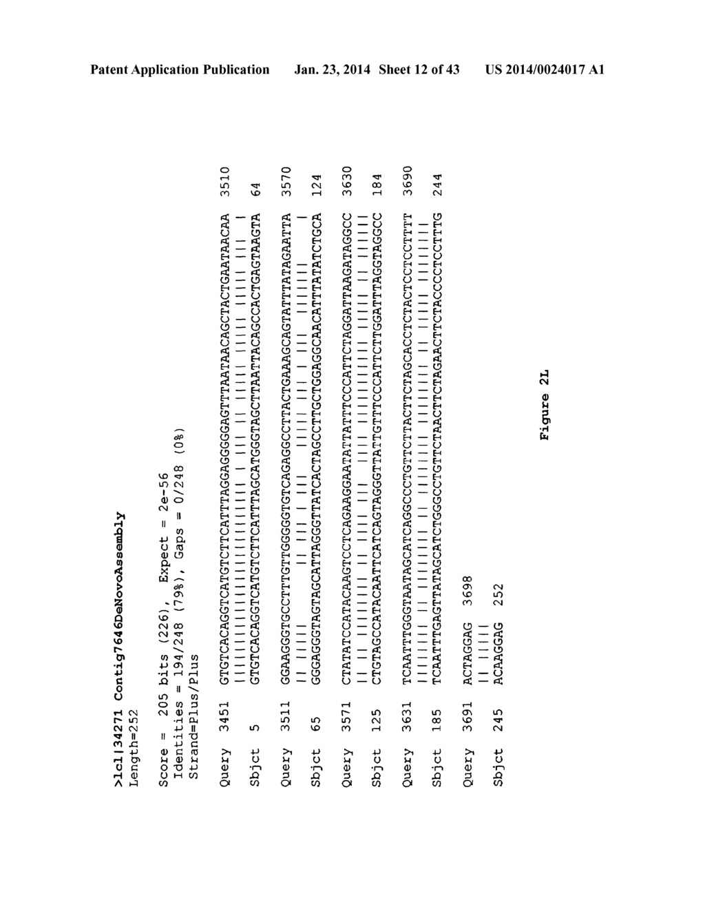 IDENTIFICATION OF A NOVEL HUMAN POLYOMAVIRUS (IPPyV) AND APPLICATIONS - diagram, schematic, and image 13