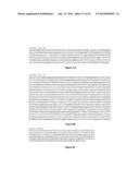 IDENTIFICATION OF A NOVEL HUMAN POLYOMAVIRUS (IPPyV) AND APPLICATIONS diagram and image