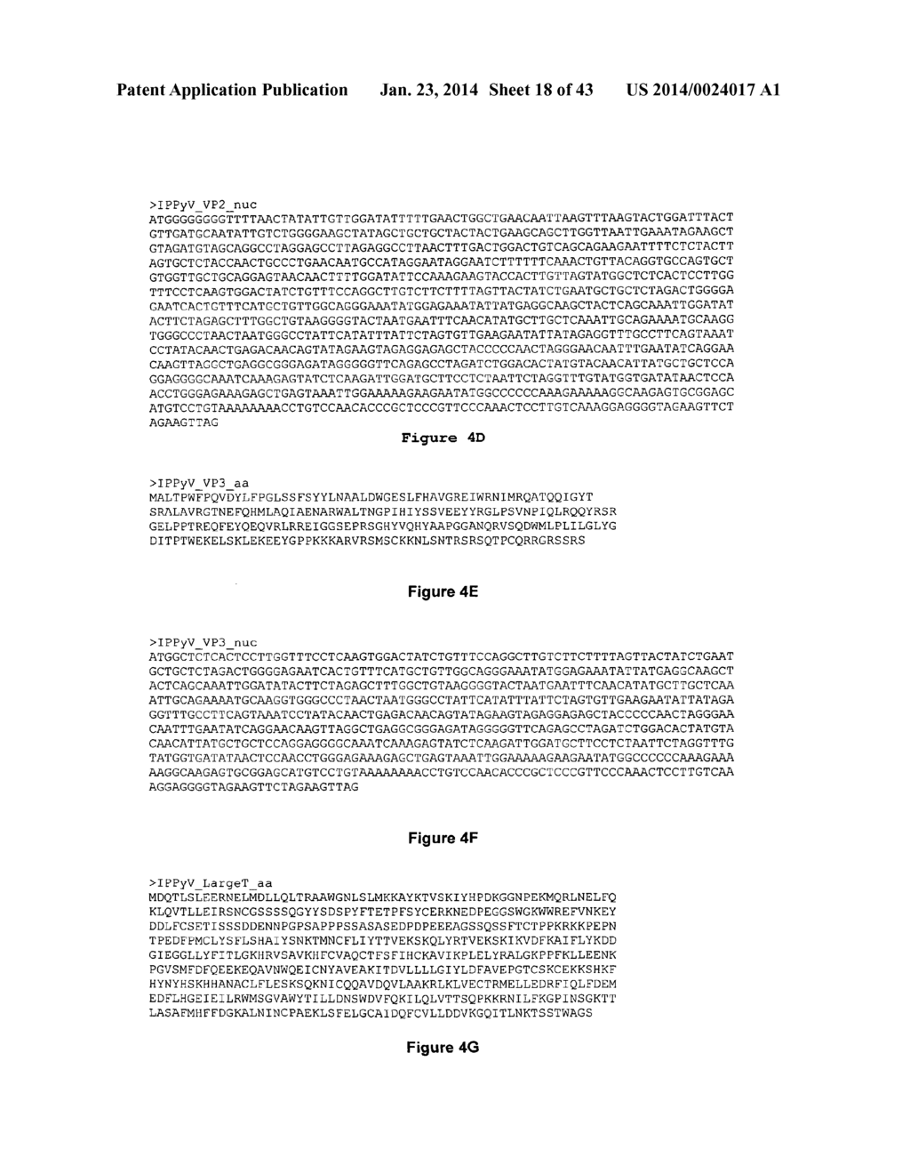 IDENTIFICATION OF A NOVEL HUMAN POLYOMAVIRUS (IPPyV) AND APPLICATIONS - diagram, schematic, and image 19