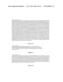 IDENTIFICATION OF A NOVEL HUMAN POLYOMAVIRUS (IPPyV) AND APPLICATIONS diagram and image