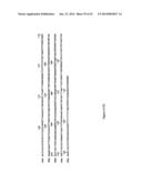 IDENTIFICATION OF A NOVEL HUMAN POLYOMAVIRUS (IPPyV) AND APPLICATIONS diagram and image