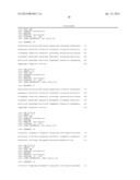 IDENTIFICATION OF A NOVEL HUMAN POLYOMAVIRUS (IPPyV) AND APPLICATIONS diagram and image