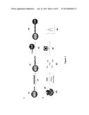 METALLIC NANOPARTICLE SYNTHESIS WITH CARBOHYDRATE CAPPING AGENT diagram and image