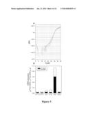 METHODS FOR QUANTIFYING MICRORNA PRECURSORS diagram and image