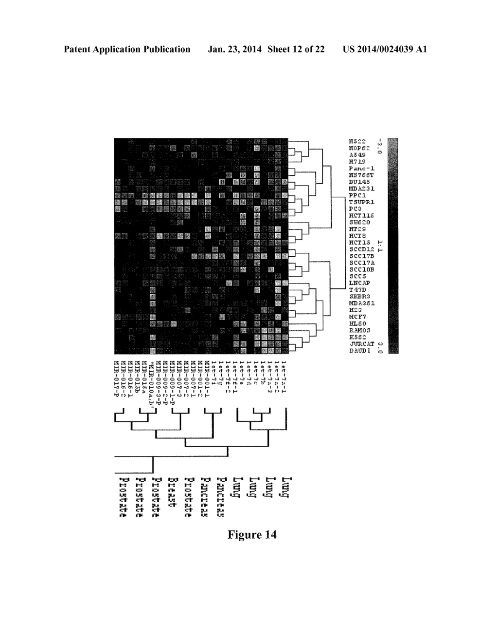 METHODS FOR QUANTIFYING MICRORNA PRECURSORS - diagram, schematic, and image 13