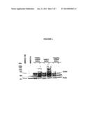 BIOMARKERS FOR DETECTION AND DIAGNOSIS OF HEAD AND NECK SQUAMOUS CELL     CARCINOMA diagram and image