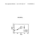 BIOMARKERS FOR DETECTION AND DIAGNOSIS OF HEAD AND NECK SQUAMOUS CELL     CARCINOMA diagram and image