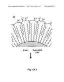 COATED QUANTUM DOTS AND METHODS OF MAKING AND USING THEREOF diagram and image