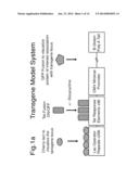 SEQUENCE-SPECIFIC EXTRACTION AND ANALYSIS OF DNA-BOUND PROTEINS diagram and image