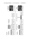 SEQUENCE-SPECIFIC EXTRACTION AND ANALYSIS OF DNA-BOUND PROTEINS diagram and image