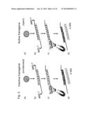 SEQUENCE-SPECIFIC EXTRACTION AND ANALYSIS OF DNA-BOUND PROTEINS diagram and image