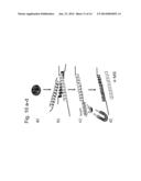 SEQUENCE-SPECIFIC EXTRACTION AND ANALYSIS OF DNA-BOUND PROTEINS diagram and image