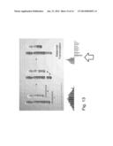 SEQUENCE-SPECIFIC EXTRACTION AND ANALYSIS OF DNA-BOUND PROTEINS diagram and image