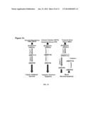 METHODS, KITS AND DEVICES FOR DETECTING BII-SPECTRIN, AND BREAKDOWN     PRODUCTS THEREOF, AS BIOMARKERS FOR THE DIAGNOSIS OF NEURAL INJURY diagram and image