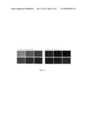 YEAST CONCENTRATION AND VIABILITY MEASUREMENT diagram and image