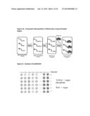 Activated Sugars diagram and image