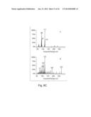 MICROBIAL ENGINEERING FOR THE PRODUCTION OF CHEMICAL AND PHARMACEUTICAL     PRODUCTS FROM THE ISOPRENOID PATHWAY diagram and image