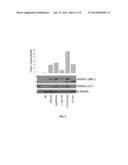 Biomarkers for Non-Hodgkin Lymphomas and Uses Thereof diagram and image