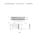 Biomarkers for Non-Hodgkin Lymphomas and Uses Thereof diagram and image