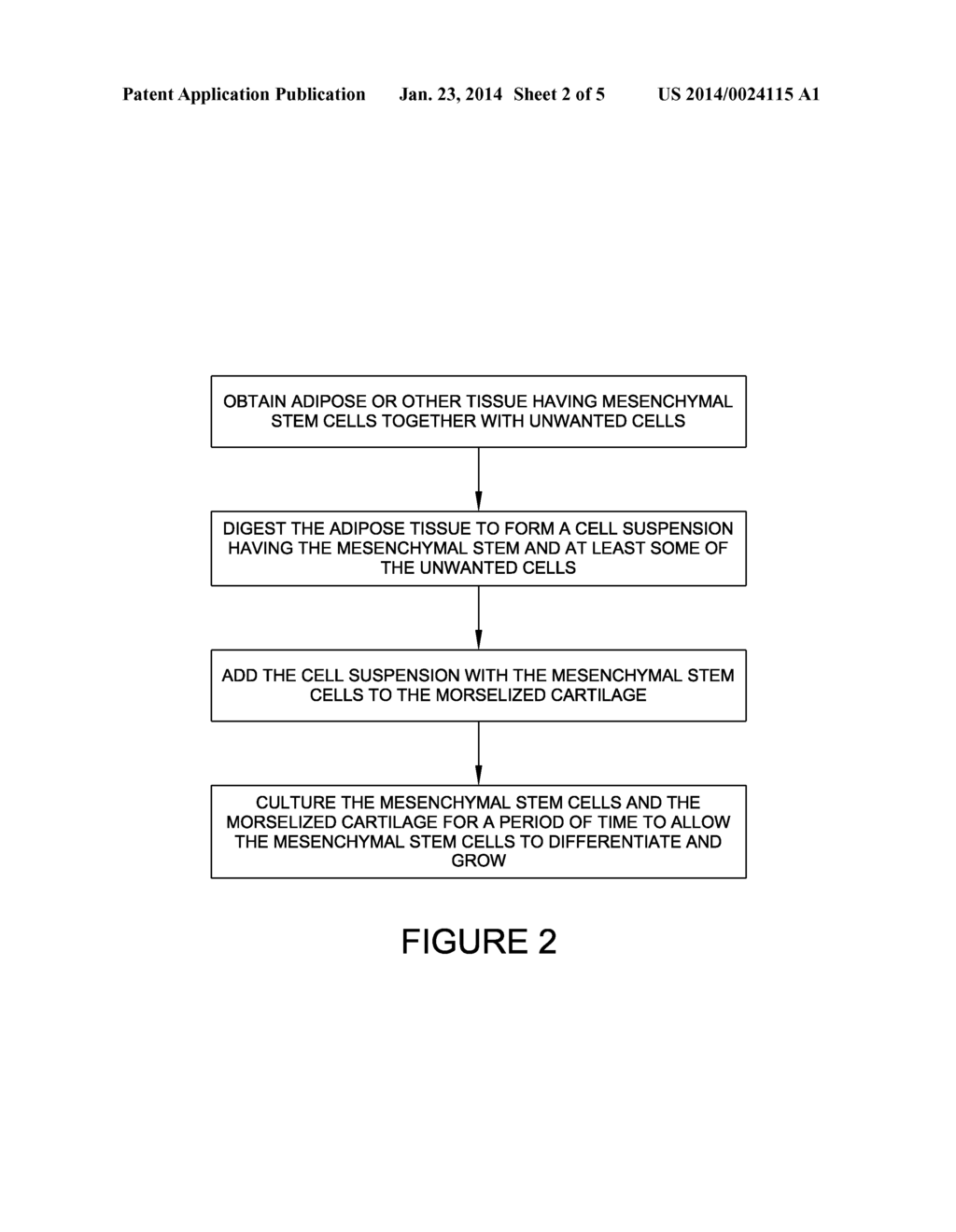 METHODS OF COMBINING MESENCHYMAL STEM CELLS AND CARTILAGE CONTAINING     ALLOGRAFTS, AND PRODUCTS OF COMBINED MESENCHYMAL STEM CELLS AND CARTILAGE     CONTAINING ALLOGRAFTS - diagram, schematic, and image 03