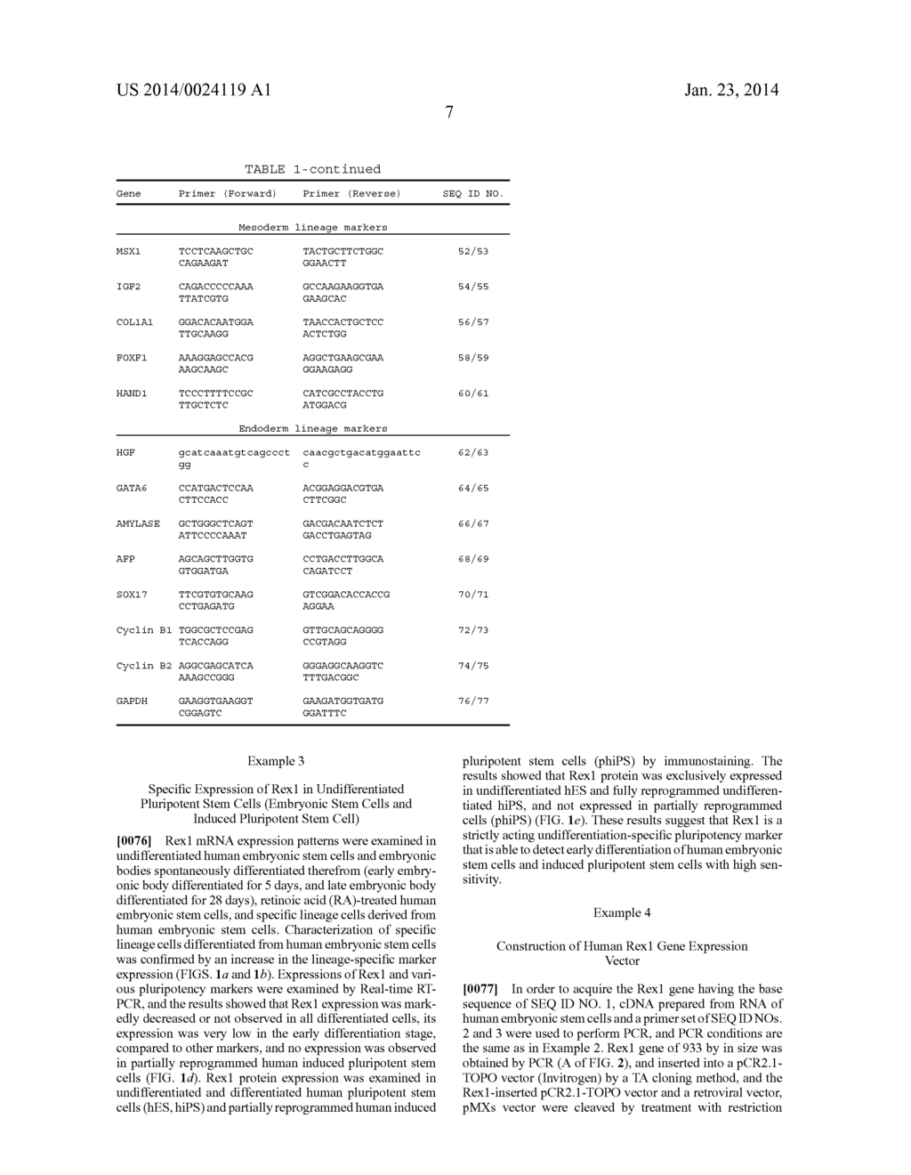 CELL REPROGRAMMING COMPOSITION COMPRISING REX1 AND AN INDUCED PLURIPOTENT     STEM CELL PRODUCTION METHOD USING THE SAME - diagram, schematic, and image 40