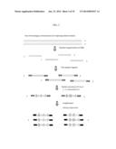 METHODS AND SYSTEMS FOR DETERMINING HAPLOTYPES AND PHASING OF HAPLOTYPES diagram and image