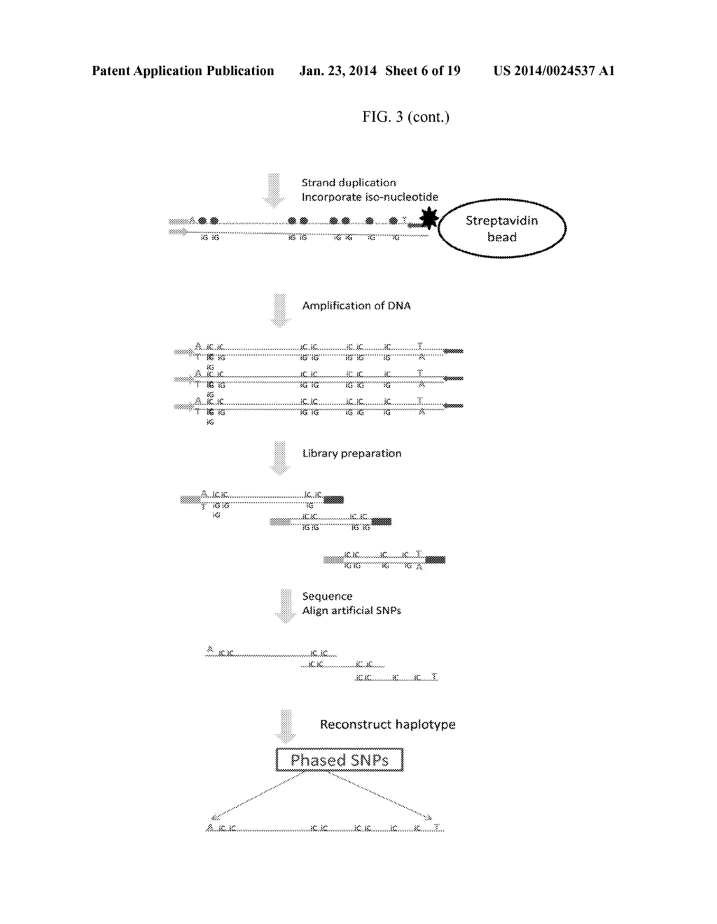 METHODS AND SYSTEMS FOR DETERMINING HAPLOTYPES AND PHASING OF HAPLOTYPES - diagram, schematic, and image 07