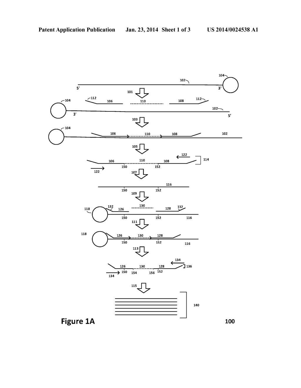 MULTIPLEXED SEQUENTIAL LIGATION-BASED DETECTION OF GENETIC VARIANTS - diagram, schematic, and image 02