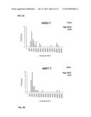 DRUG SELECTION FOR MALIGNANT CANCER THERAPY USING ANTIBODY-BASED ARRAYS diagram and image