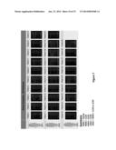 DRUG SELECTION FOR MALIGNANT CANCER THERAPY USING ANTIBODY-BASED ARRAYS diagram and image