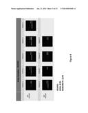 DRUG SELECTION FOR MALIGNANT CANCER THERAPY USING ANTIBODY-BASED ARRAYS diagram and image