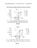 DRUG SELECTION FOR MALIGNANT CANCER THERAPY USING ANTIBODY-BASED ARRAYS diagram and image