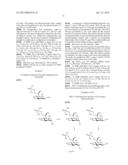 HEPTOSE DERIVATIVES FOR USE IN THE TREATMENT OF BACTERIAL INFECTIONS diagram and image