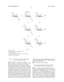 HEPTOSE DERIVATIVES FOR USE IN THE TREATMENT OF BACTERIAL INFECTIONS diagram and image